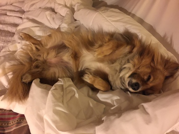 a0214927_11061751.jpeg