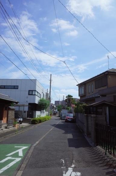亀有からぶらぶら その5～お花茶屋駅から堀切菖蒲園へ_a0287336_21423336.jpg