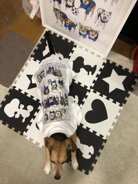b0031538_22402756.jpeg