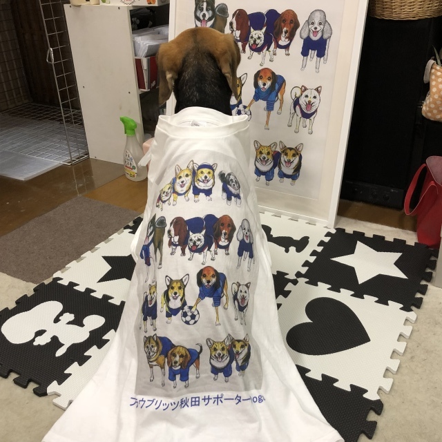 b0031538_22412881.jpeg