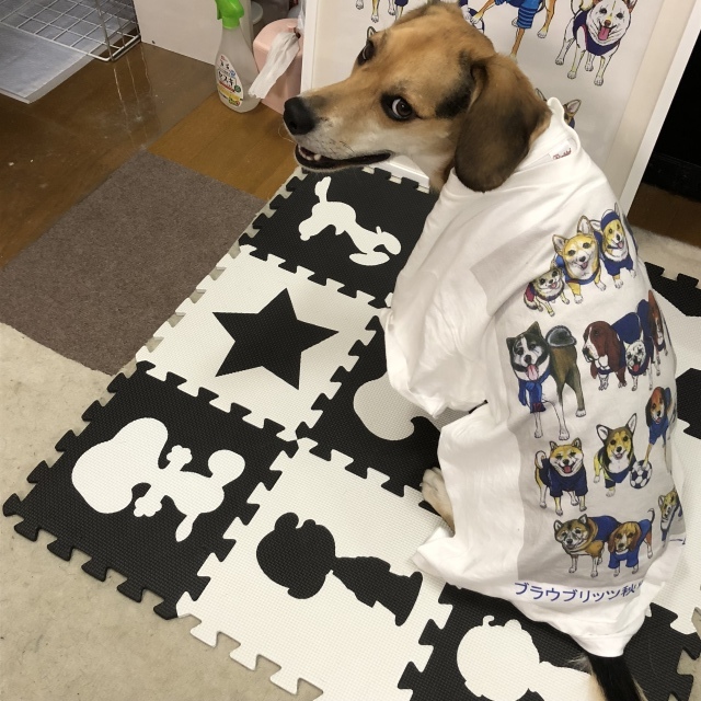 b0031538_22423061.jpeg