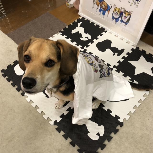 b0031538_22443715.jpeg