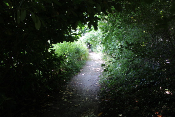b0132338_16014649.jpeg