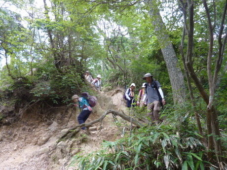 夏山トレーニング 『有馬から宝塚へ』_c0218841_15500029.jpg
