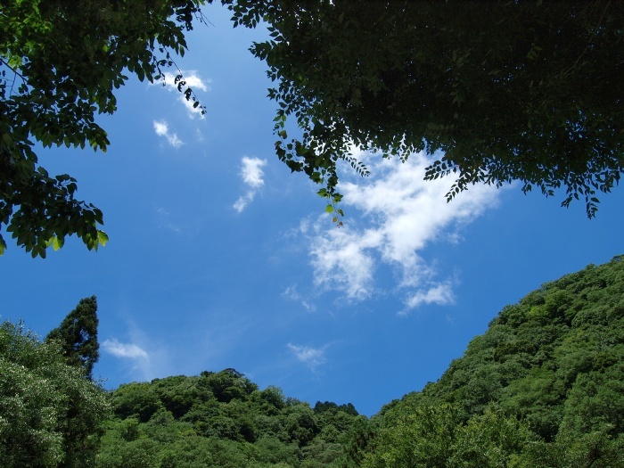 c0281841_14022971.jpg