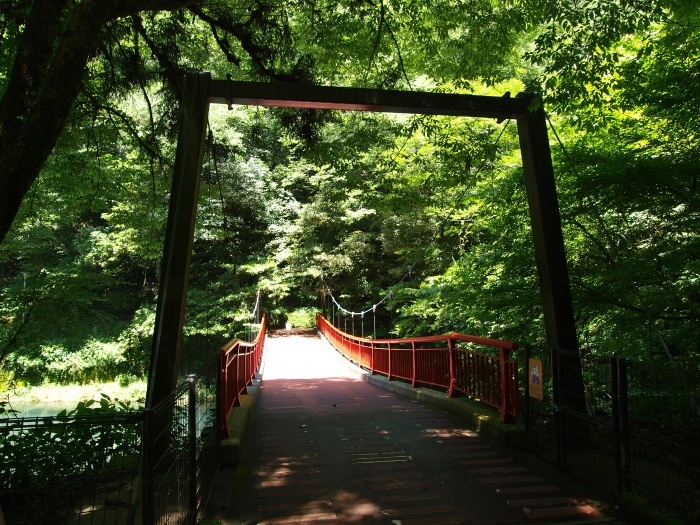 c0281841_15274731.jpg