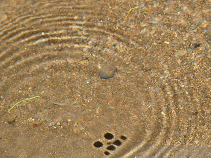 c0281841_15331612.jpg
