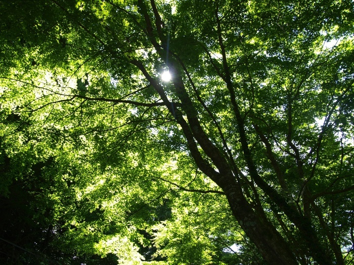 c0281841_15514855.jpg