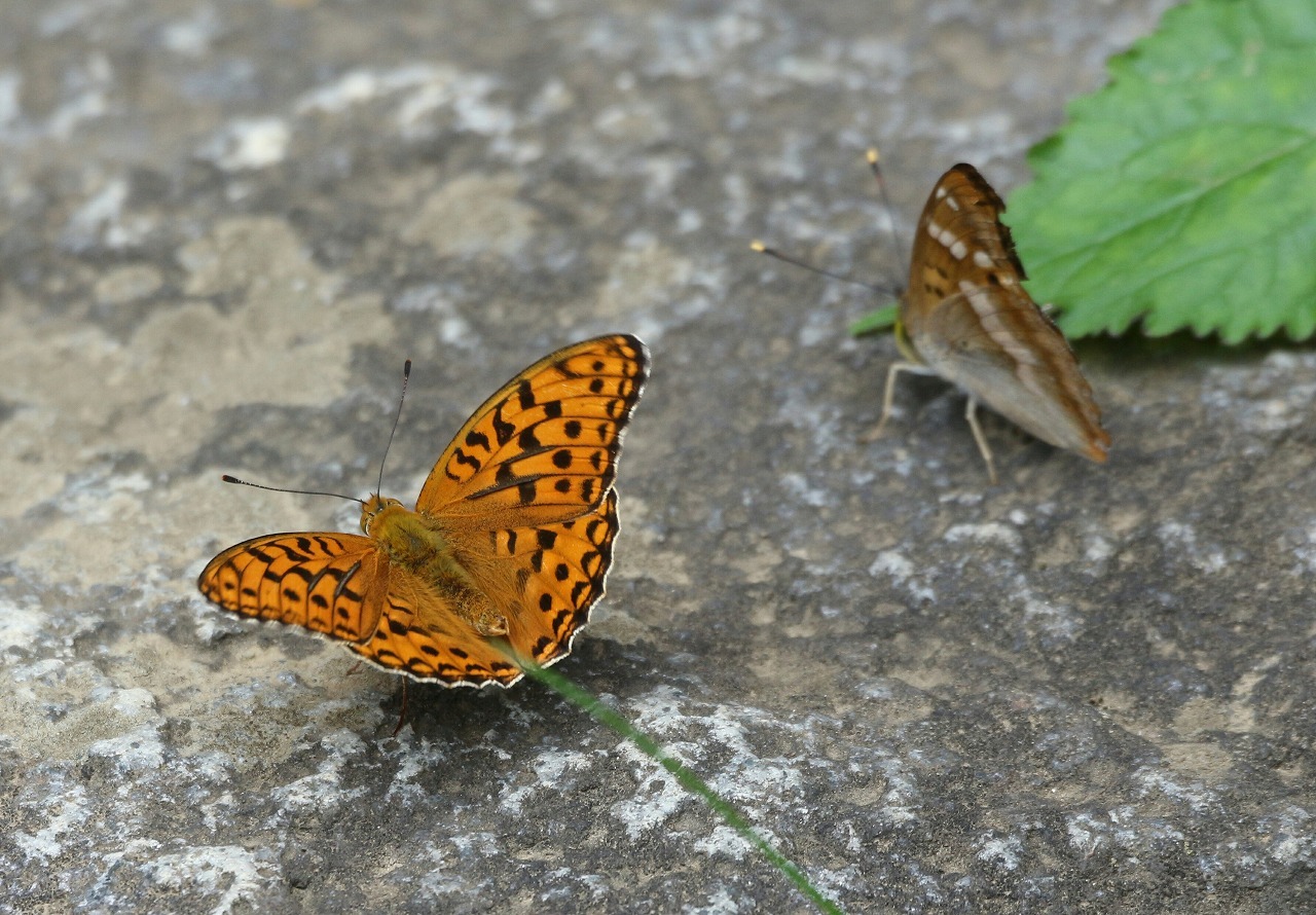 d0361041_23191591.jpg