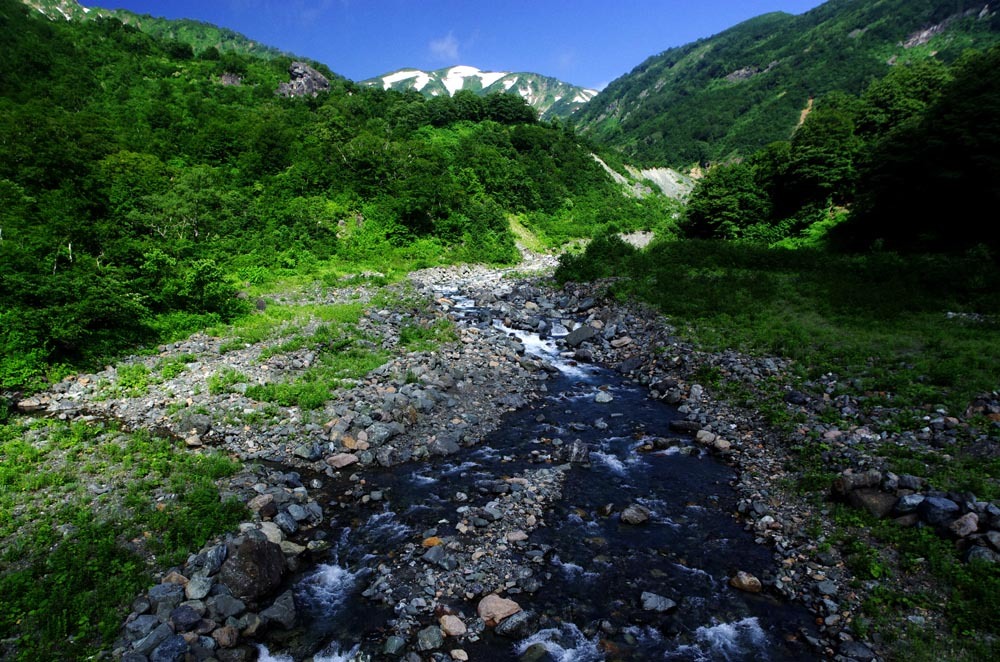 c0077847_20280093.jpg