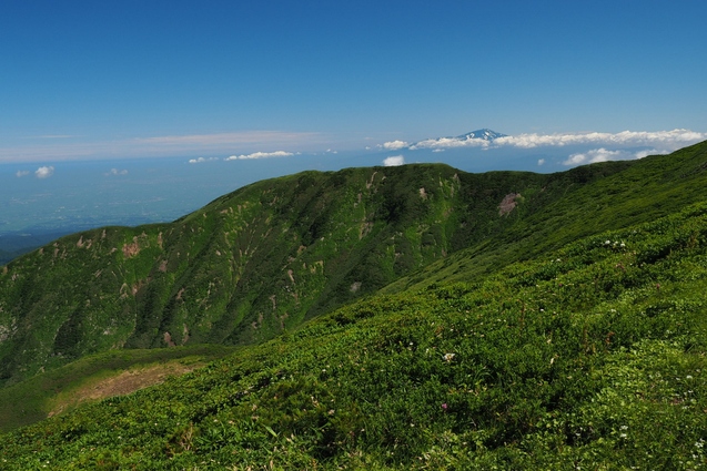 b0189948_1705539.jpg