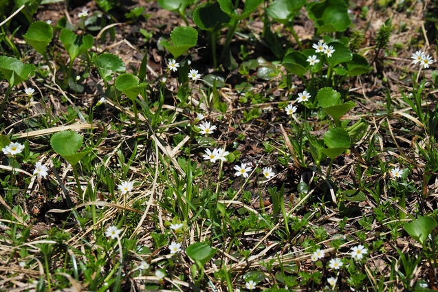 b0189948_1745860.jpg
