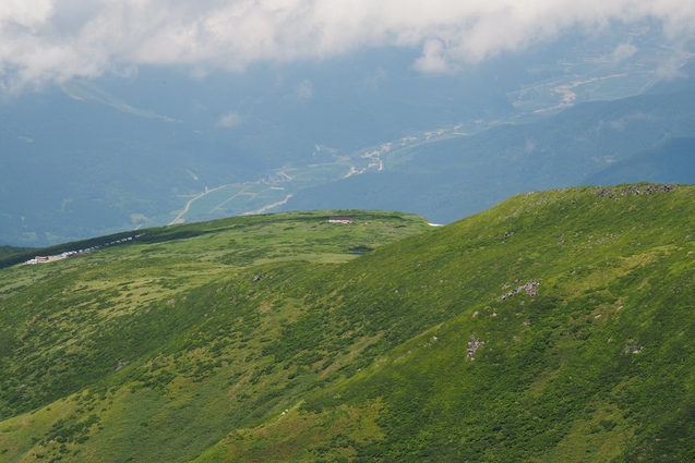 b0189948_177169.jpg
