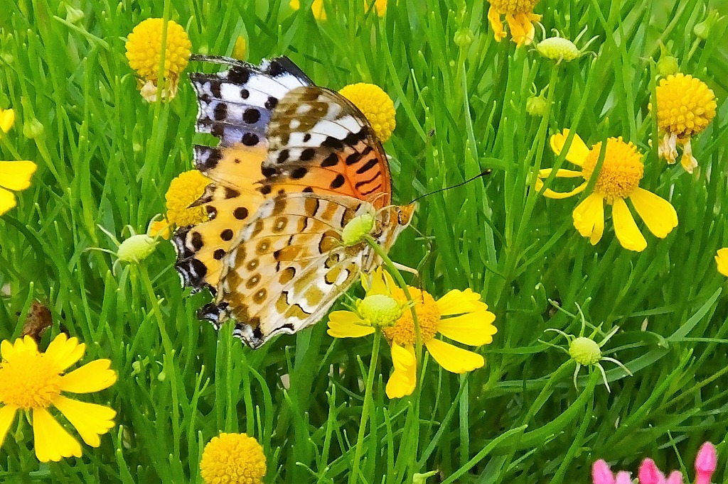 b0236251_13483569.jpg
