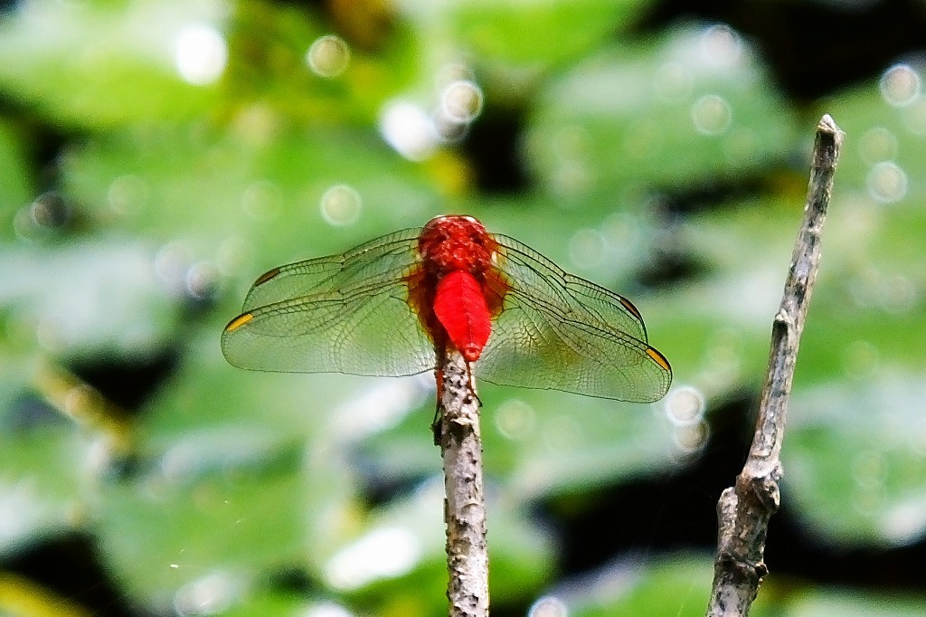 b0236251_13524985.jpg