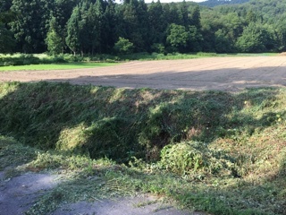a0346455_14334561.jpeg