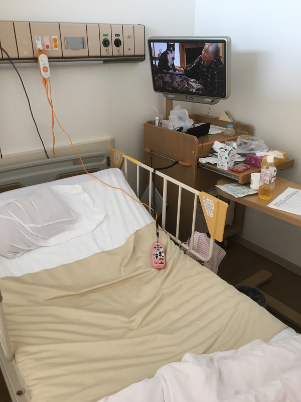 お引越しです_b0063958_11201370.jpg