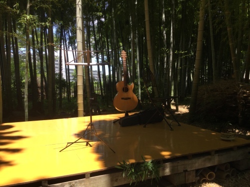 すっかりご無沙汰!_d0137764_10175334.jpeg