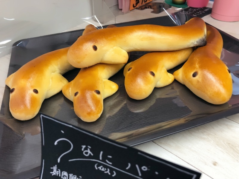 b0298565_20495116.jpeg