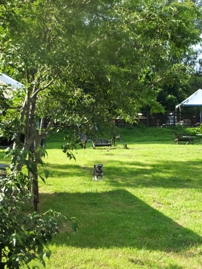 d0104465_12420304.jpg