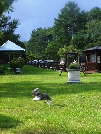 d0104465_12421499.jpg