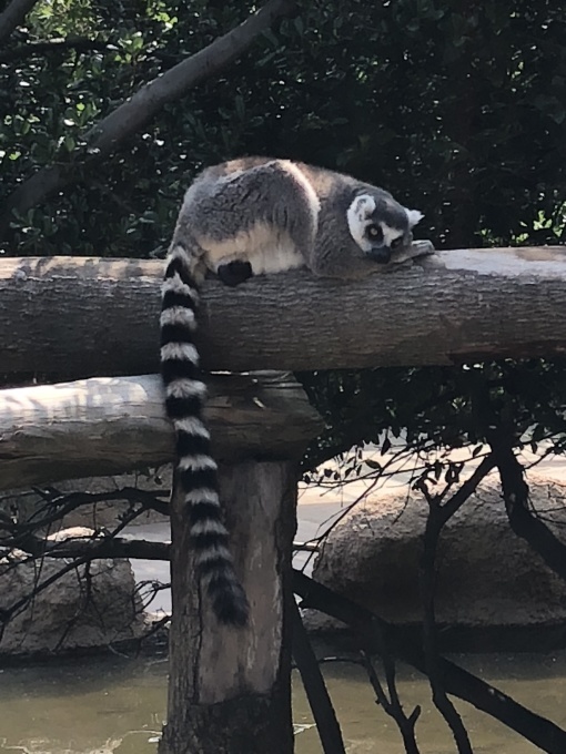 e0151266_06130372.jpeg