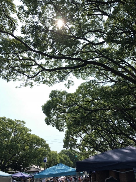 c0360867_10255127.jpeg
