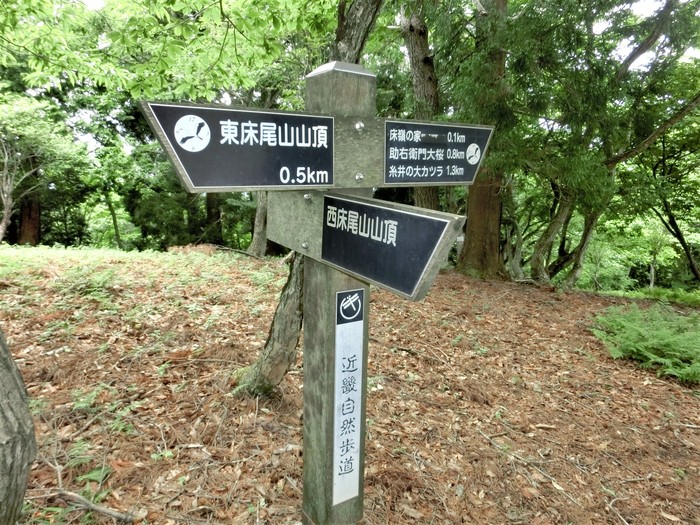 b0185573_1116585.jpg