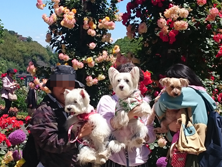 b0242873_22570201.png