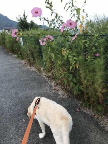 f0315081_22073835.jpeg