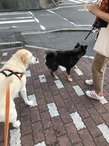 f0315081_22130716.jpeg