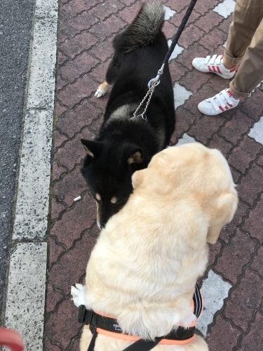 f0315081_22143270.jpeg