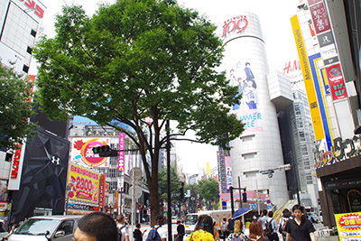 b0056983_14290254.jpg