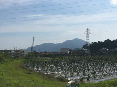 初めての足立山～風師山トレラン_f0220089_12371394.jpg