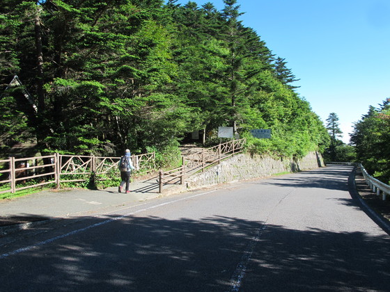 a0166196_2143680.jpg
