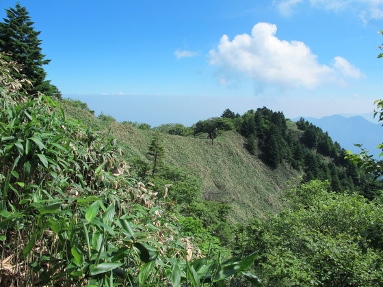 a0166196_2148475.jpg