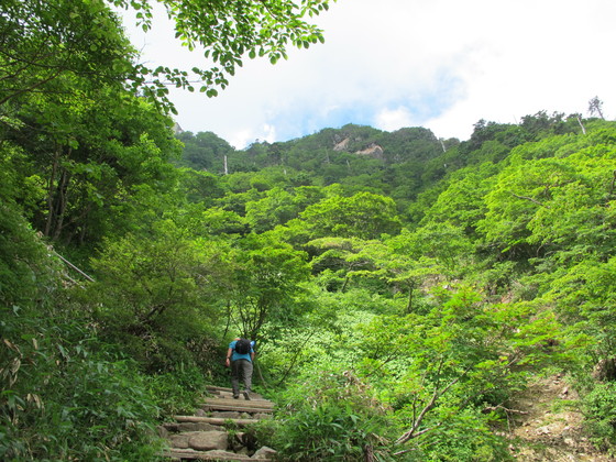 a0166196_21495510.jpg