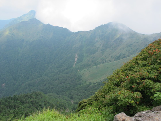 a0166196_2153996.jpg