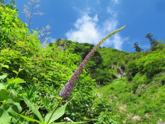 a0166196_2223116.jpg