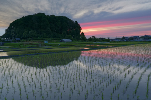 それぞれの夕刻_e0366896_22200619.jpg