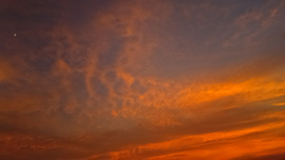 a0185598_22422300.jpg