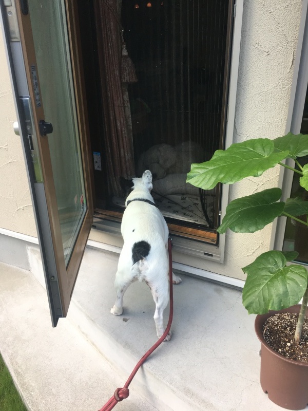b0275998_22283965.jpeg