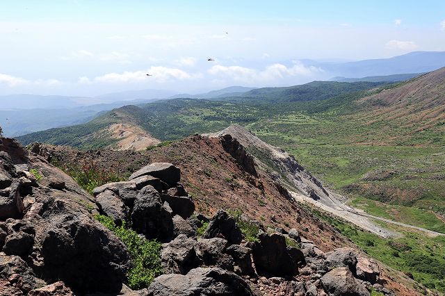 e0137200_03734.jpg