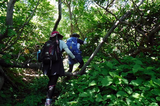 e0137200_052036.jpg