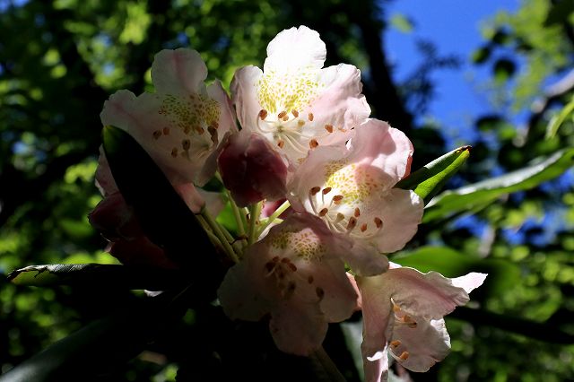 e0137200_053257.jpg