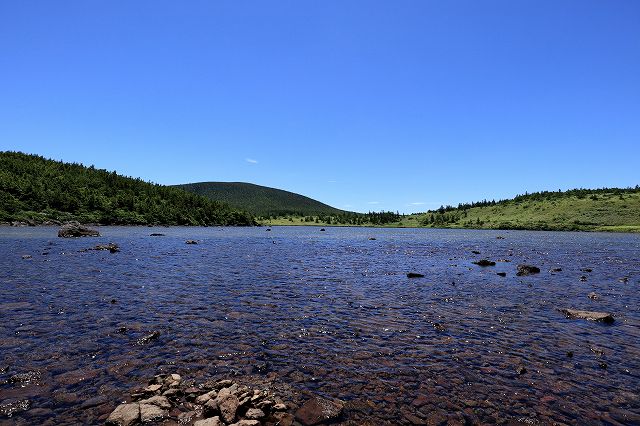 e0137200_084614.jpg