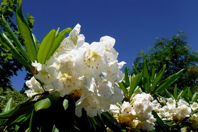e0137200_091231.jpg