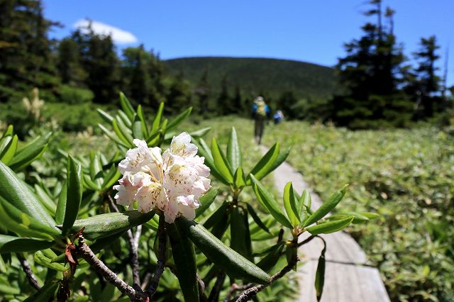 e0137200_095637.jpg