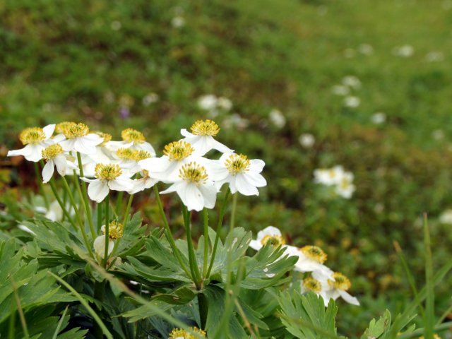 a0345007_10365790.jpg
