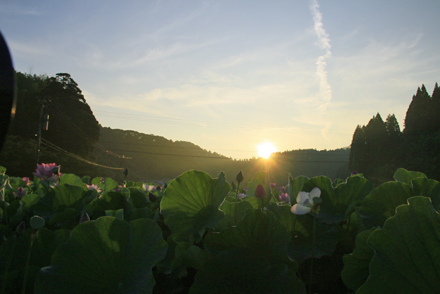 b0014607_21461460.jpg